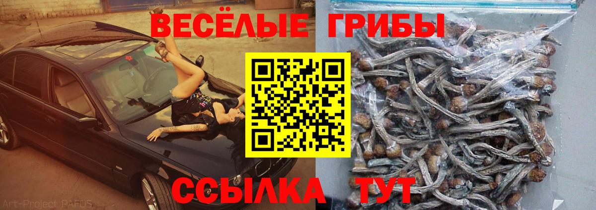 Псилоцибиновые грибы MAGIC MUSHROOMS Избербаш