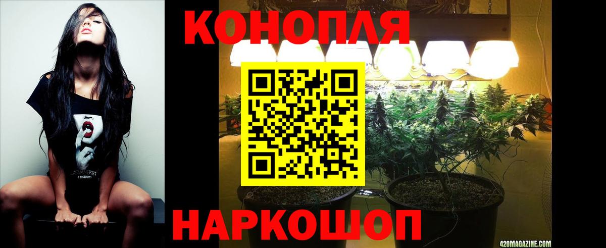 Бошки марихуана White Widow  МАРИХУАНА OG Kush  Конопля ГИДРОПОН  МАРИХУАНА MAZAR  Избербаш 